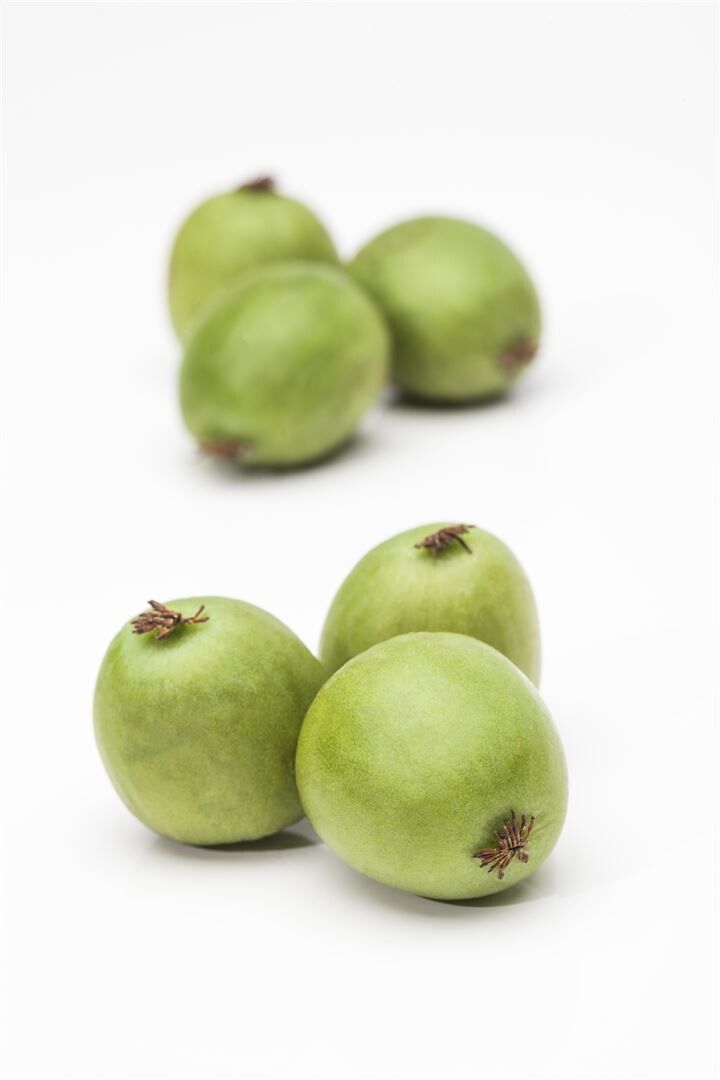 Bahçevilya Mini Kivi Fidanı  1-2 yaş arası saksılı - Bahçevilya