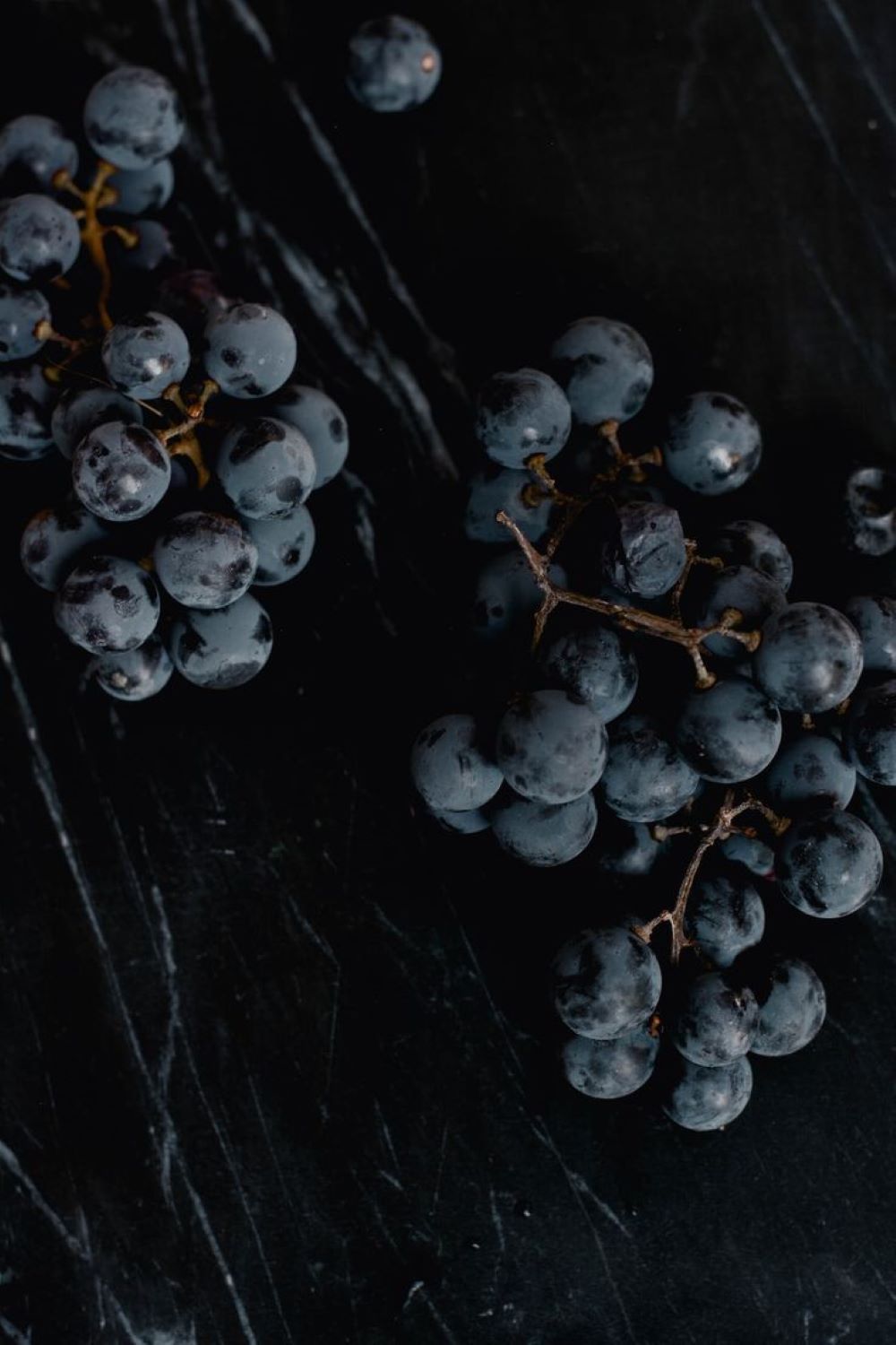 Bahçevilya Siyah Merlot Üzüm Fidanı 1 - 2 Yaş Arası Tüplü - Bahçevilya