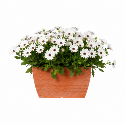 KALİNA 180 Saksı 48 Litre Bostann