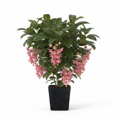 LUSINE 210 Saksı 74 Litre Bostann