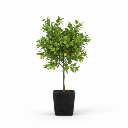 LUSINE 200 Saksı 47 Litre Bostann