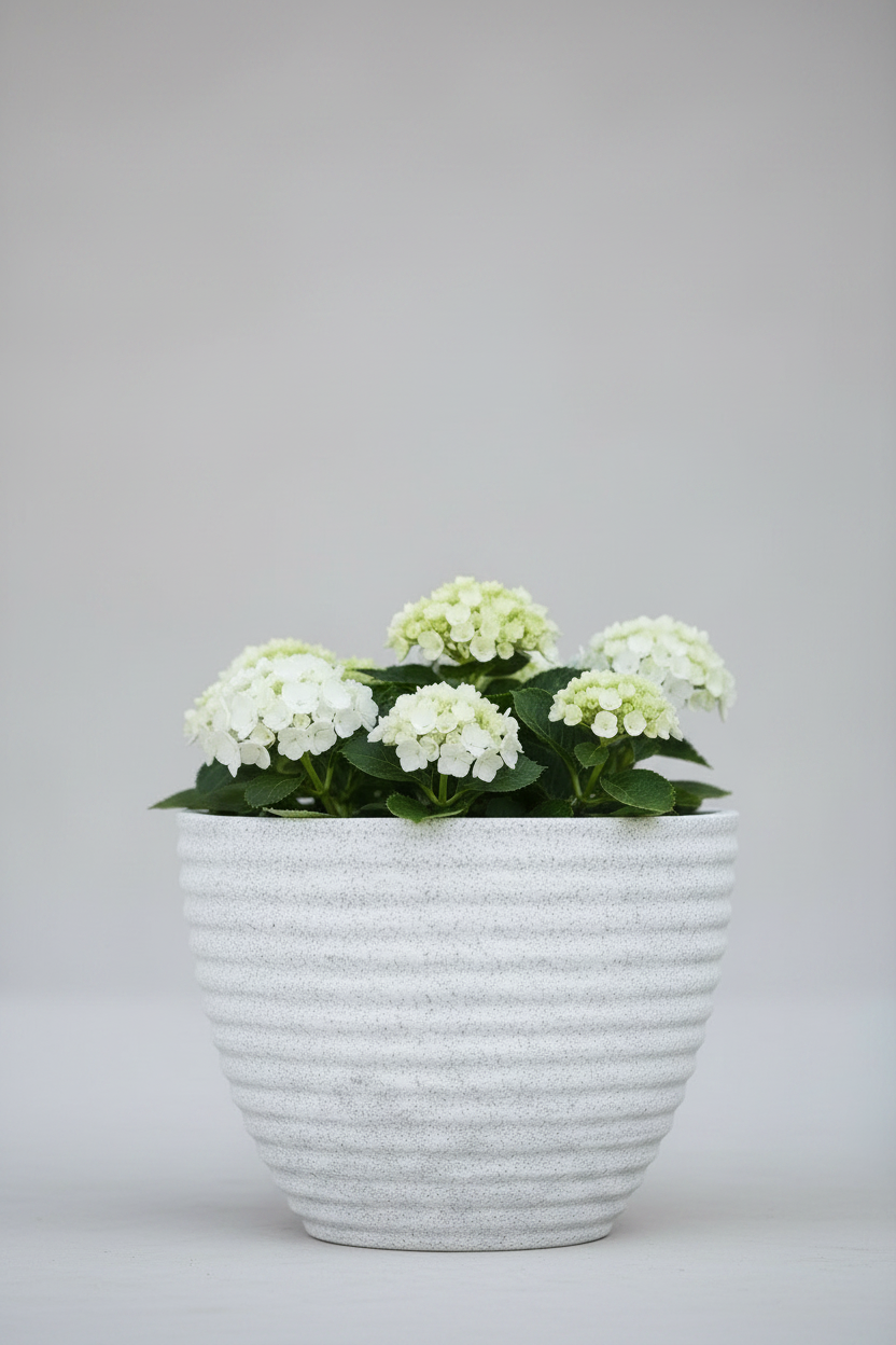 LİLYUM 320 Saksı 13 Litre Bostann