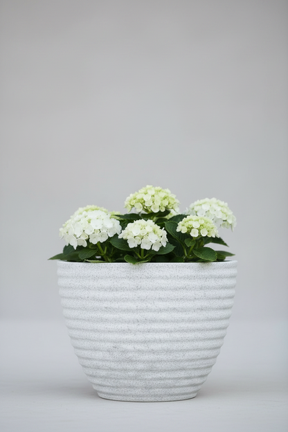 LİLYUM 320 Saksı 13 Litre Bostann