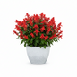 LİORA 220 Saksı 13 Litre Bostann