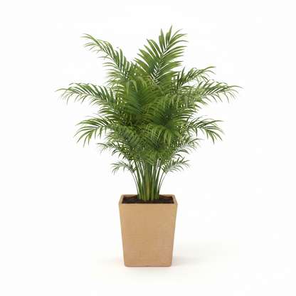 LUSINE 210 Saksı 74 Litre Bostann