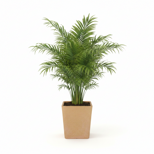 LUSINE 210 Saksı 74 Litre Bostann
