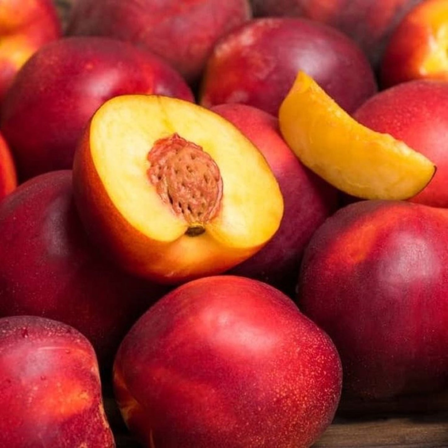 Aşılı Nektarin Fidanı saksılı 80 cm üzeri 2 yaşında - Bahçevilya