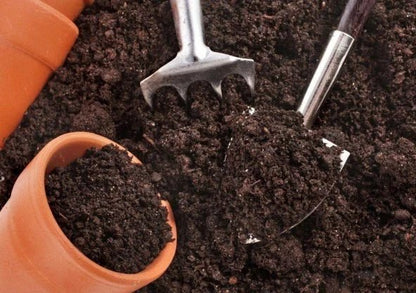 Bahçevilya Genel Kullanım Amaçlı Torf Toprak Dış Mekan Ağaçlar için 10 litre - Bahçevilya