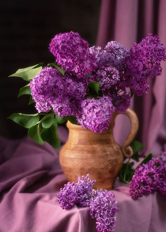 Bahçevilya Leylak Ağacı Fidanı [syringa Chinensis ) 50/80 Cm 1 - 2 yaş arası tüplü saksıllı - Bahçevilya