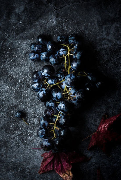 Bahçevilya Siyah Merlot Üzüm Fidanı 1 - 2 Yaş Arası Tüplü - Bahçevilya