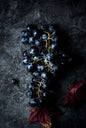 Bahçevilya Siyah Merlot Üzüm Fidanı 1 - 2 Yaş Arası Tüplü - Bahçevilya