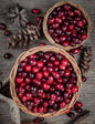 Bahçevilya Turna Yemişi (CRANBERRY) Fidanı - 1-2 Yaş arası Saksılı - Bahçevilya