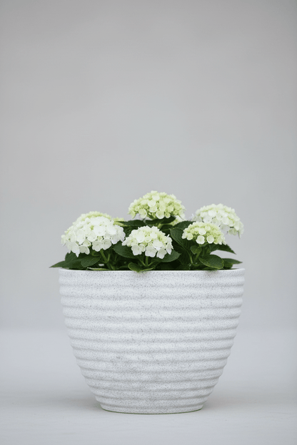 LİLYUM 320 Saksı 13 Litre Bostann - Bahçevilya
