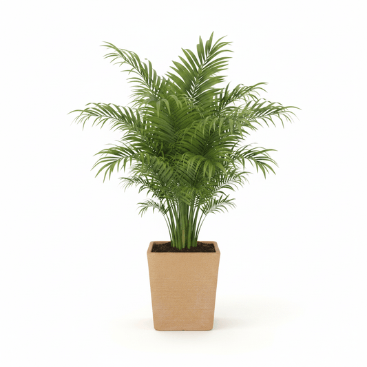 LUSINE 210 Saksı 74 Litre Bostann - Bahçevilya