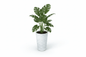 PETRA 120 Saksı 80 Litre Bostann - Bahçevilya