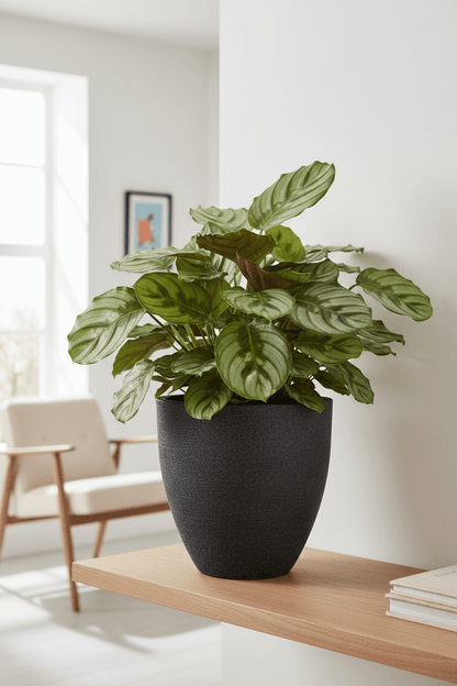 SILVA 040 Saksı 13 Litre Bostann - Bahçevilya