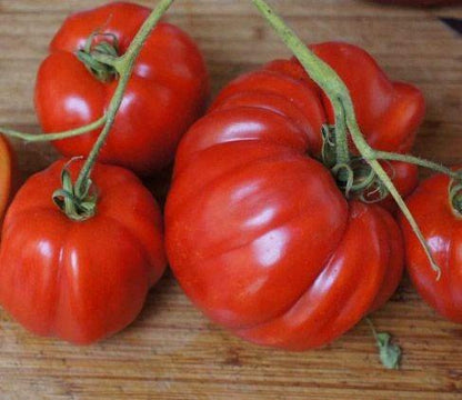 Bahçevilya Köy Domates ( 200 TOHUM ) - Bahçevilya 