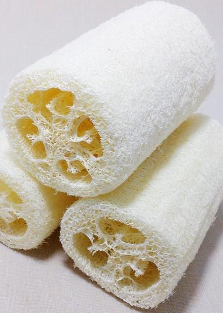 Bahçevilya Lif kabağı Luffa cylindrica 10 Adet - Bahçevilya 