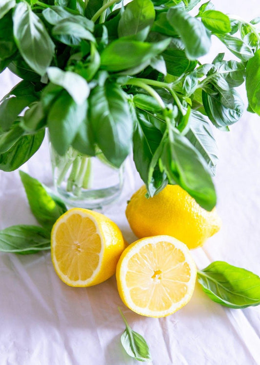Bahçevilya Limon Fesleğeni [100 adet tohum] - Bahçevilya 