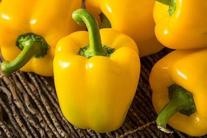 Bahçevilya Sarı dolma biber (10 tohum) - Bahçevilya 