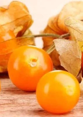 Altın çilek golden berry (20 tohum) - Bahçevilya