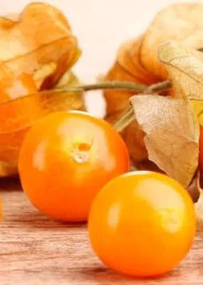 Altın çilek golden berry (20 tohum) - Bahçevilya 