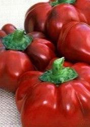 Bahçevilya Domates biberi tohumu (50 Adet Tohum) - Bahçevilya