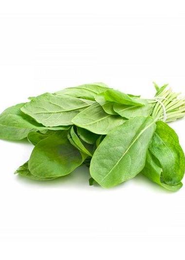 Bahçevilya Ekşi Otu (100 TOHUMU) - Bahçevilya