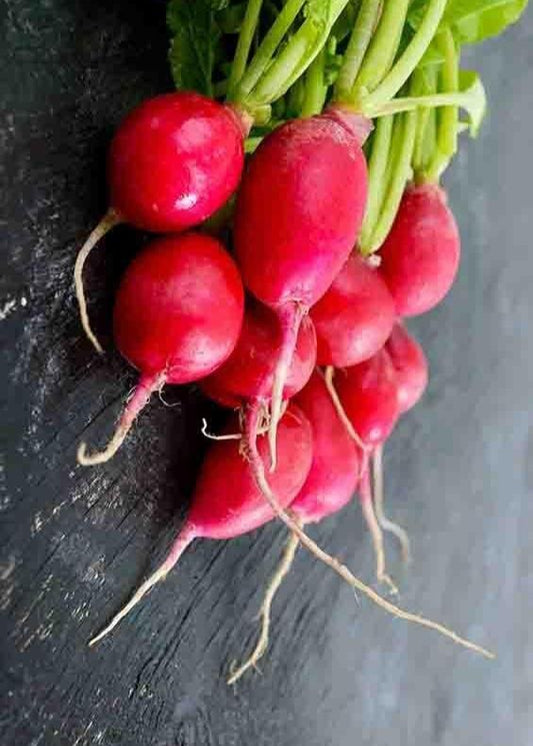 Bahçevilya Fındık turp (100 tohum ) - Bahçevilya