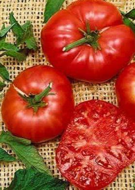 Bahçevilya Köy Domates ( 200 TOHUM ) - Bahçevilya